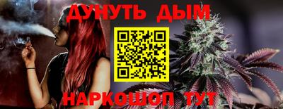 spice Гай