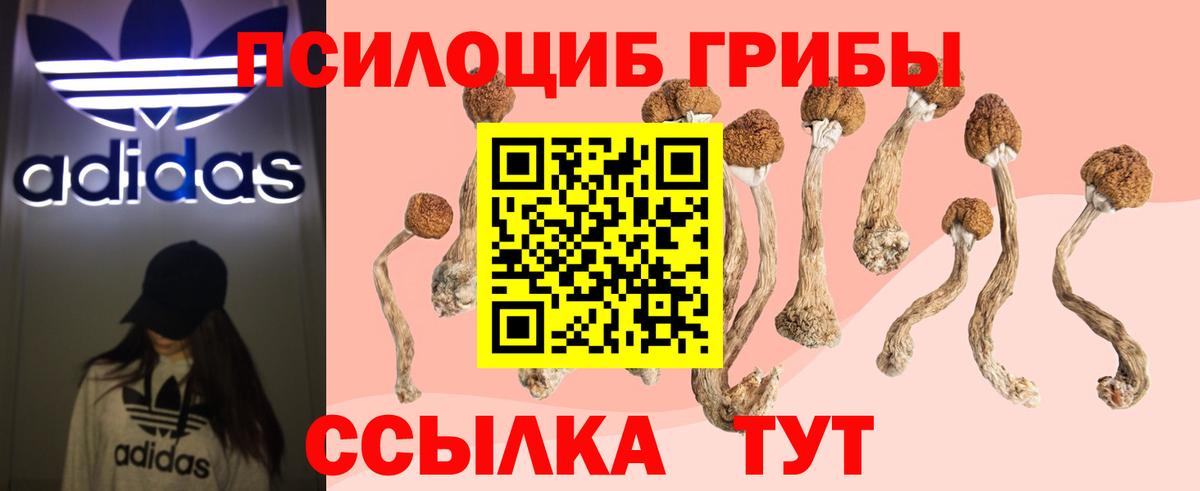 Набережные Челны  Галлюциногенные грибы MAGIC MUSHROOMS  Вход с VPN  Псилоцибиновые грибы мицелий 