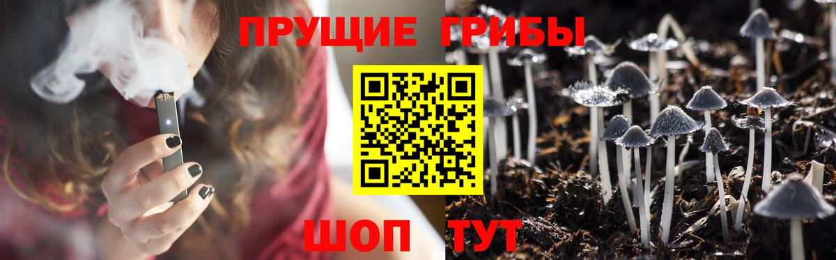 Галлюциногенные грибы Psilocybine cubensis Набережные Челны